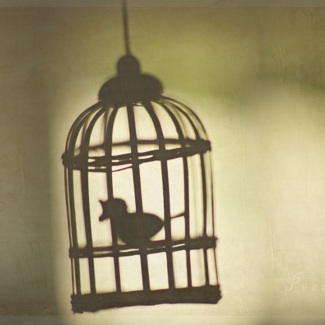 I know why the caged bird sings poem